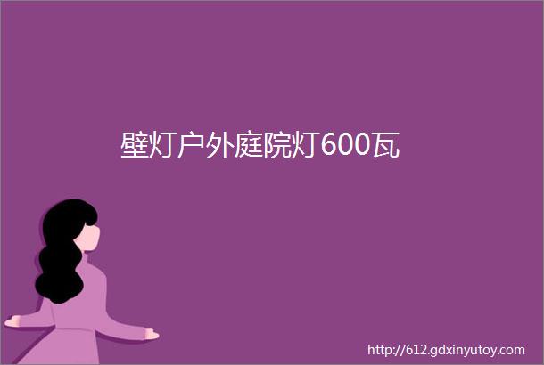 壁灯户外庭院灯600瓦